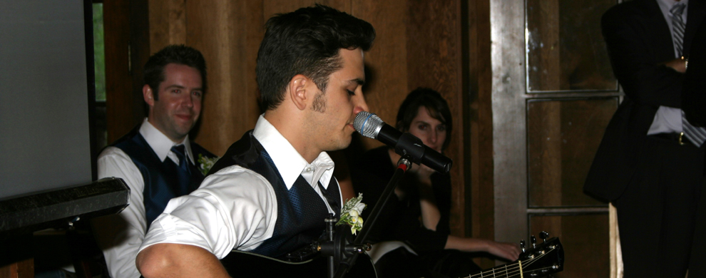 Live performer at a wedding